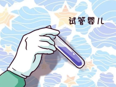 同性借卵代怀服务收费标准